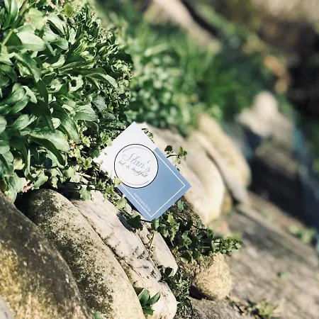 Panzió Stan's Gottsdorf