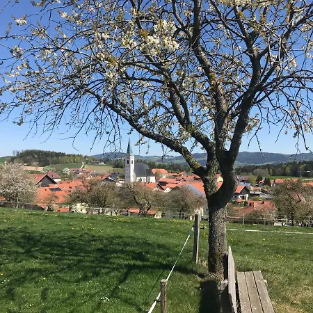 Stan's Bed and breakfast Untergriesbach